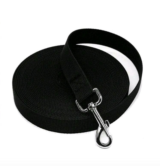 🐾 Longe en Nylon 3m - Pratique & Résistante