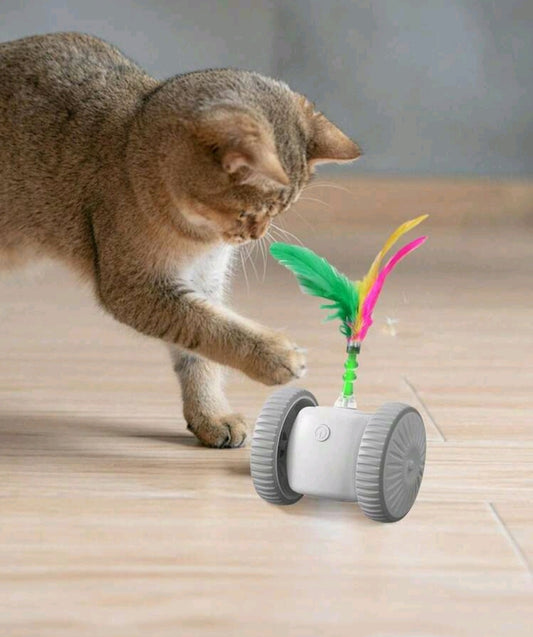 🚗 E-CAR Magique USB