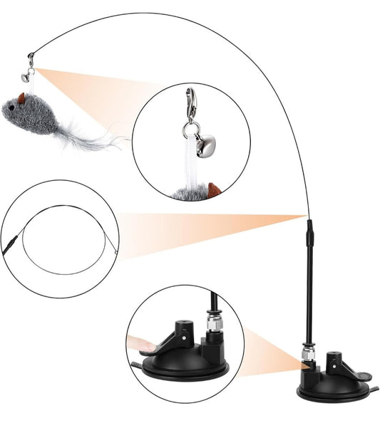 🧲 Jouet à ventouse + Oiseaux Siffleurs Offerts