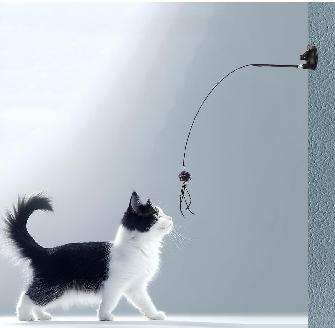 🧲 Jouet à ventouse + Oiseaux Siffleurs Offerts