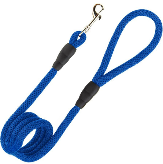 🐾 Laisse Renforcée 1m30