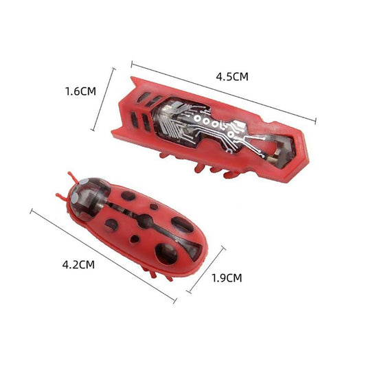 🪳✨ E-cocci Magique