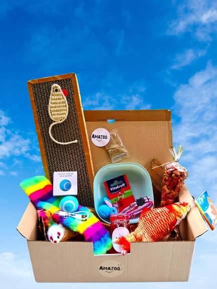 📦 Pourquoi opter pour une box mensuelle pour votre chien ?