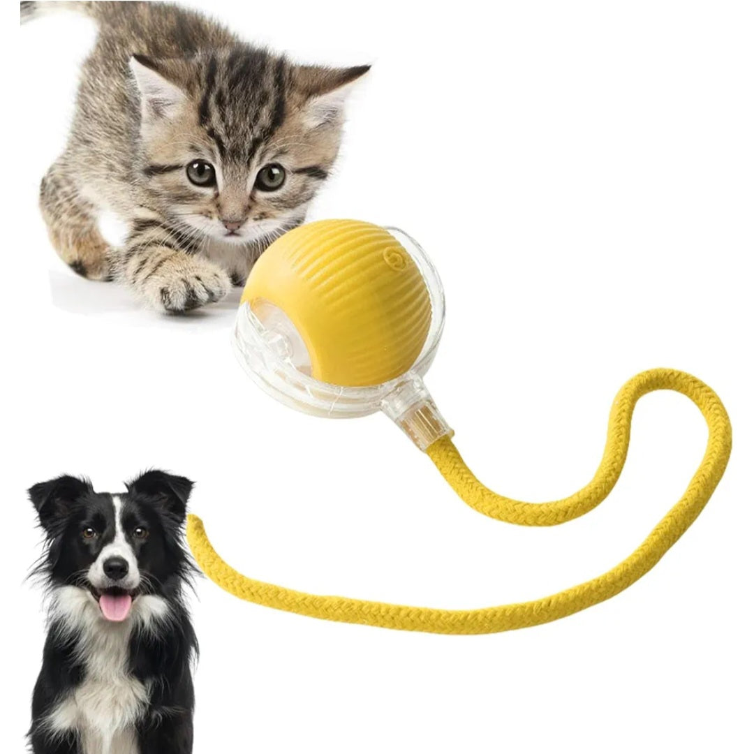 ✨ Nouvelle innovation pour nos toutous & Minou : Les E-balles anti ennui autonome !