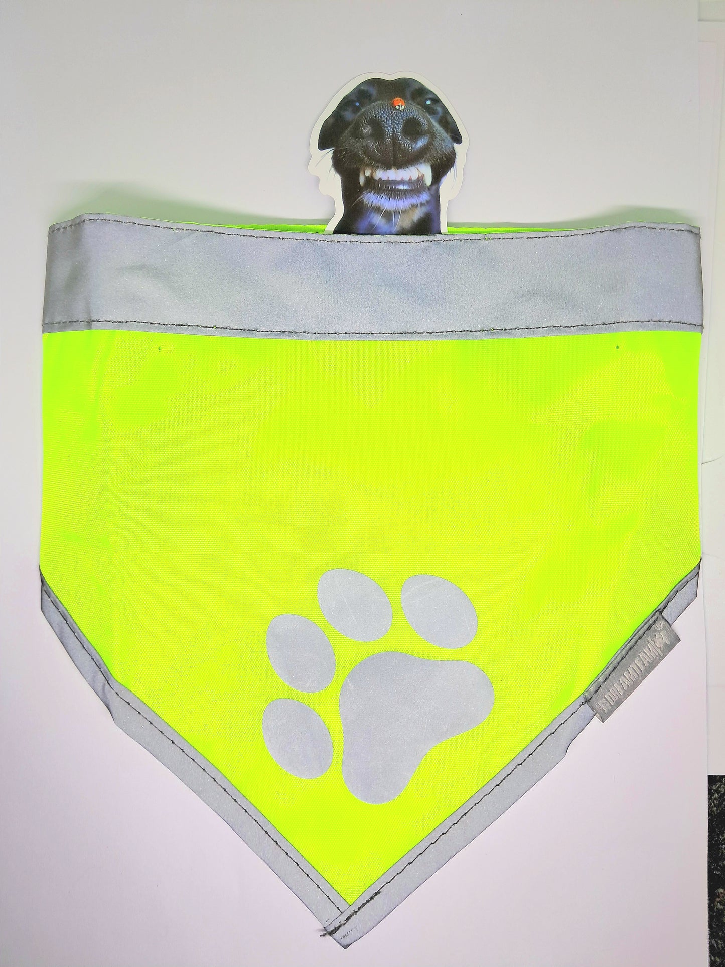 🐾 Bandana Réfléchissant  Sécurité & Style