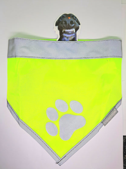 🐾 Bandana Réfléchissant  Sécurité & Style