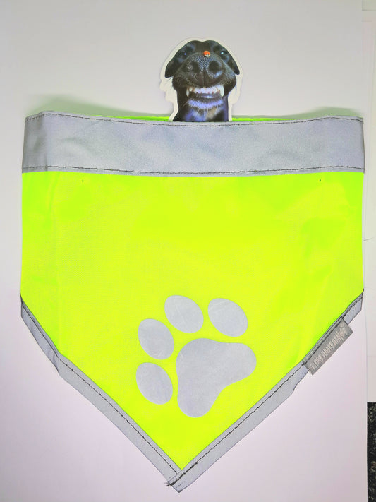 🐾 Bandana Réfléchissant  Sécurité & Style