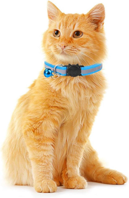🐱 Collier Réfléchissant Anti étranglement + grelot