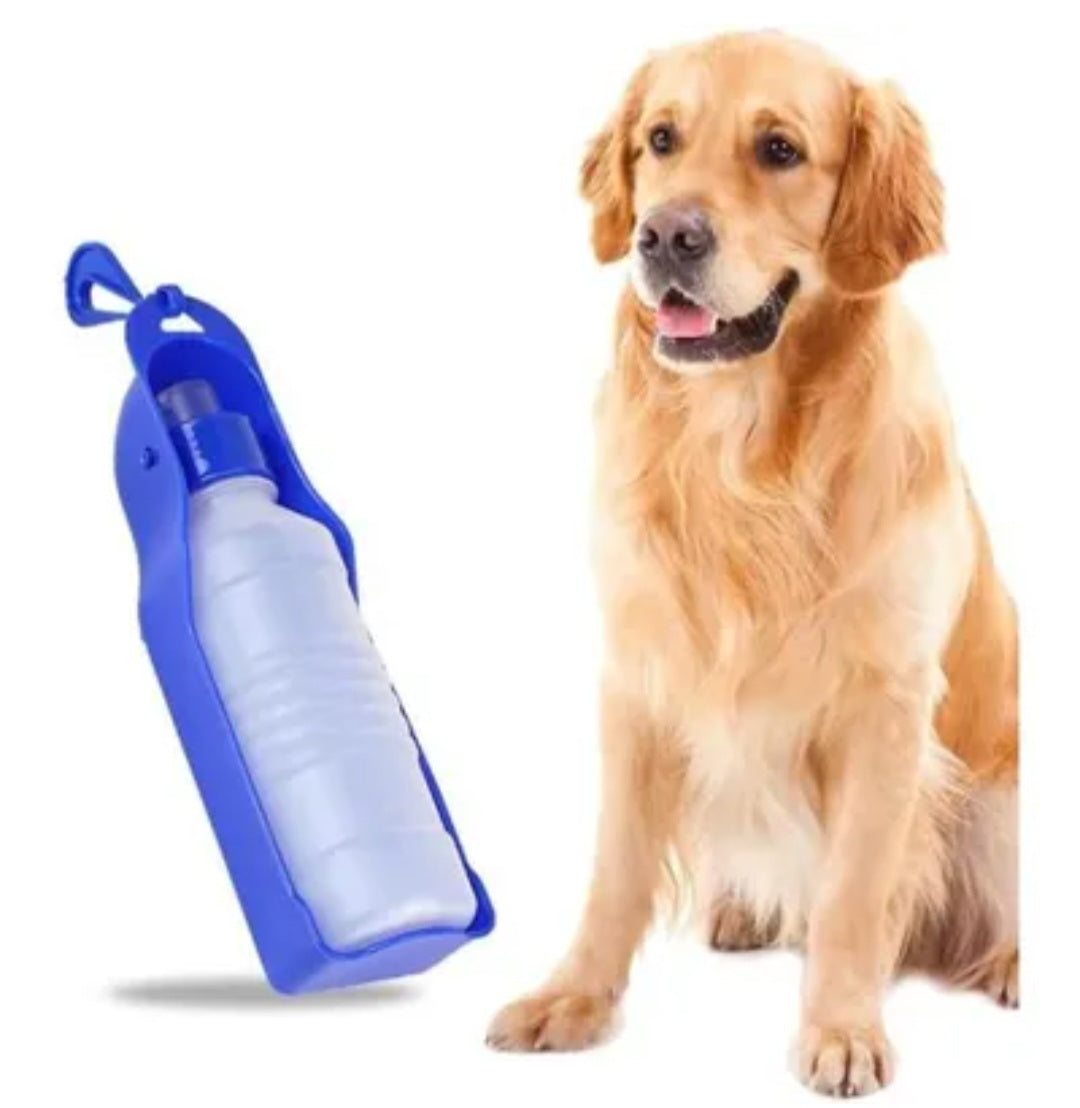 💧 Gourde 2-en-1 écuelle intégrée