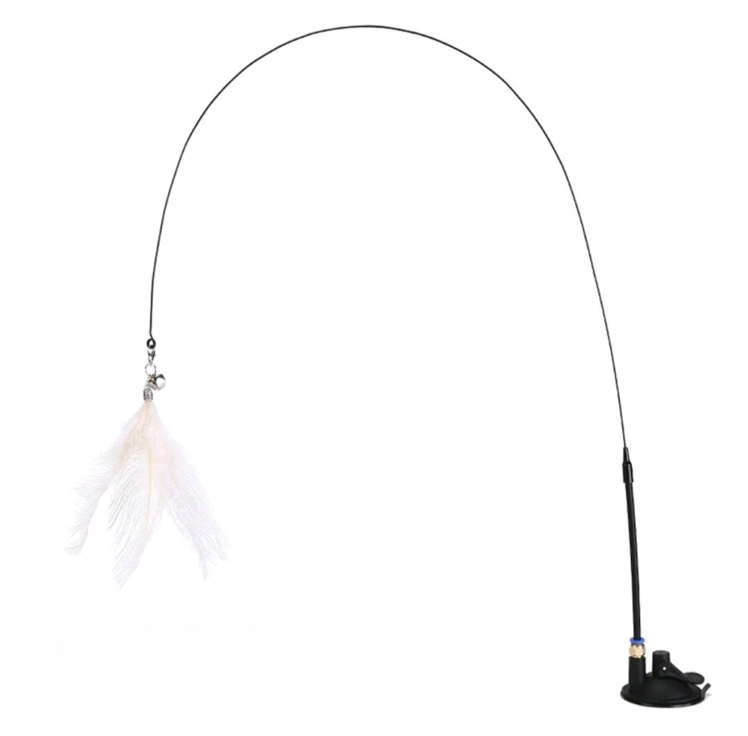 🧲 Jouet à ventouse + Oiseaux Siffleurs Offerts