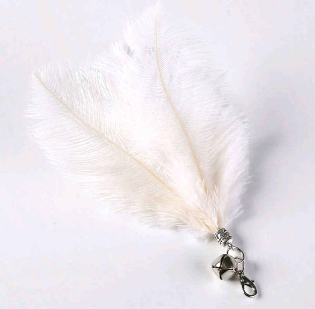 🧲 Jouet à ventouse + Oiseaux Siffleurs Offerts