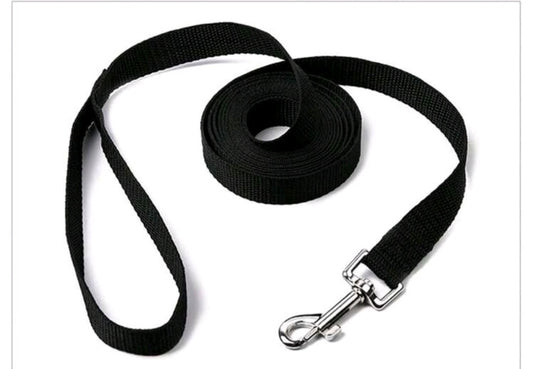 🐾 Longe en Nylon 3m - Pratique & Résistante