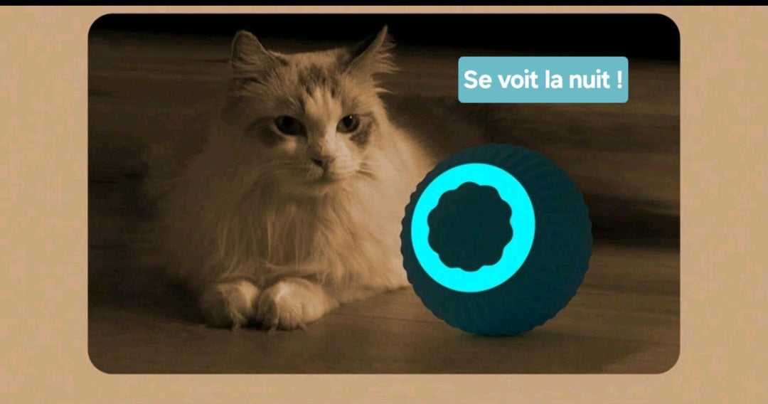🏐 🟦E-BALLE Intelligente USB