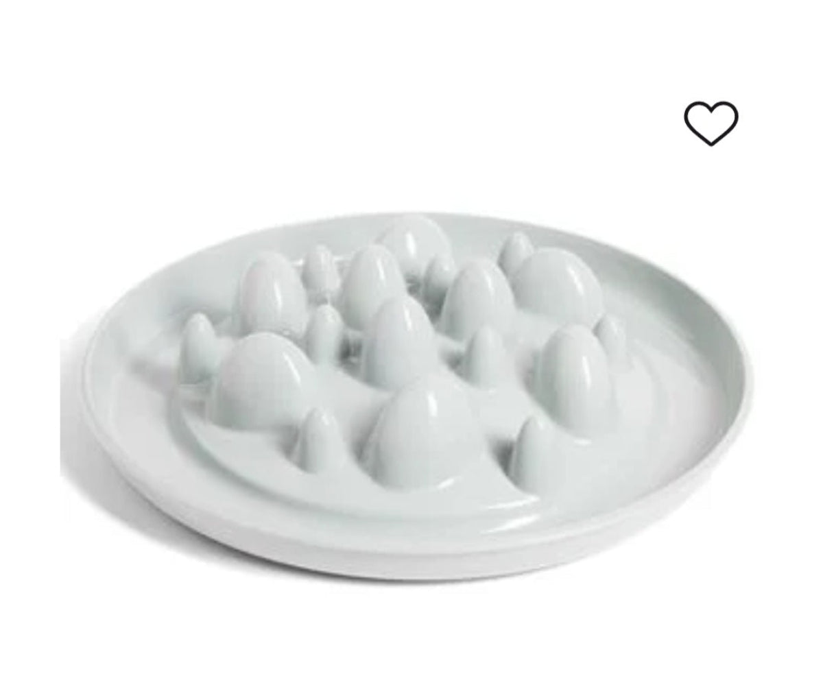🐾 Assiette/Gamelle ANTI-GLOUTON - 32cm
