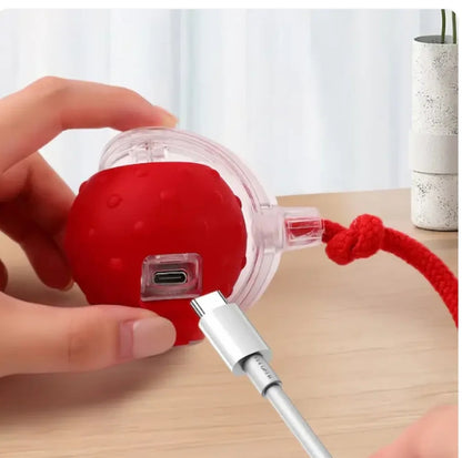 🐕Balle Intelligente & USB avec Traîne