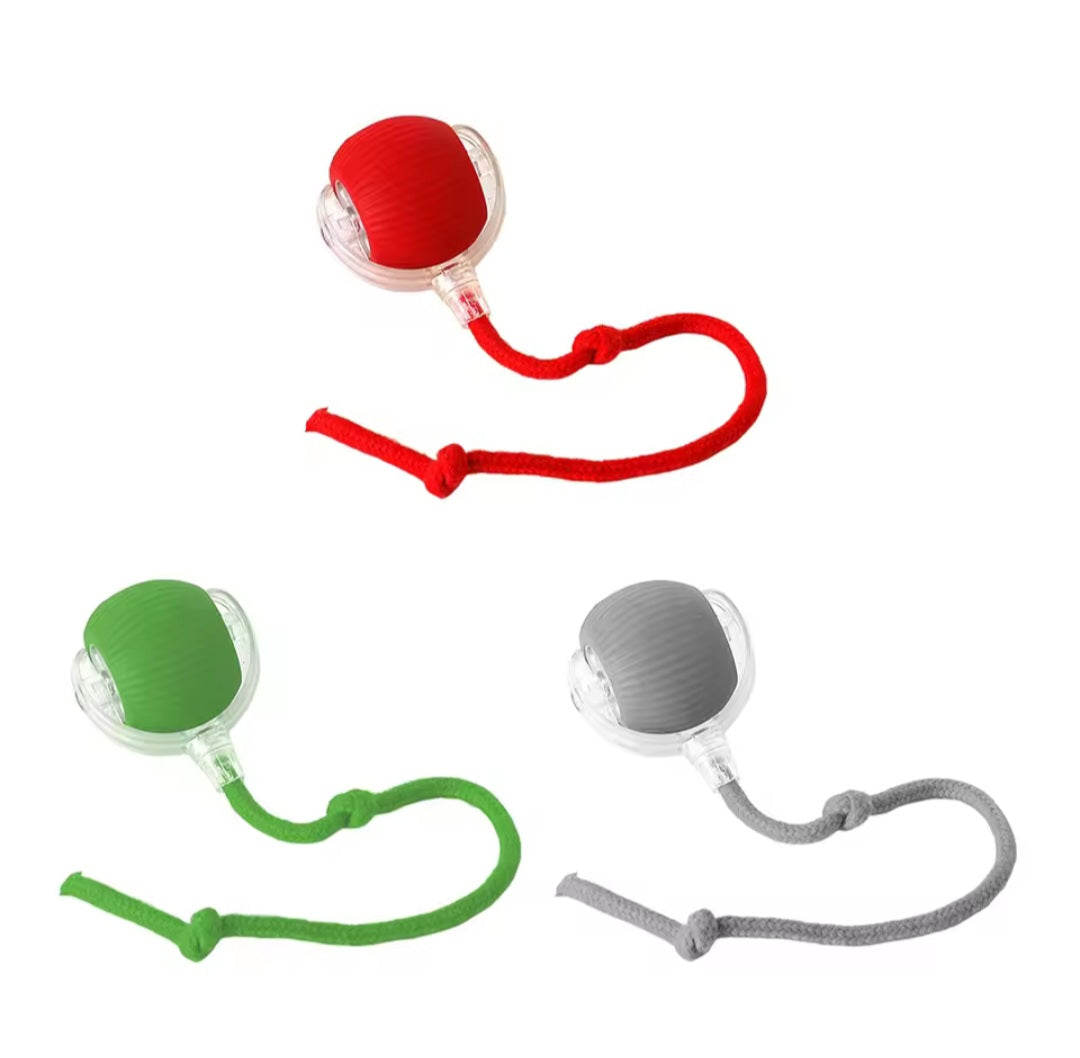 🐕Balle Intelligente & USB avec Traîne