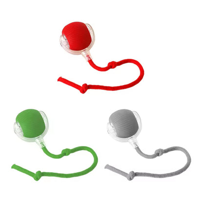 🐕Balle Intelligente & USB avec Traîne
