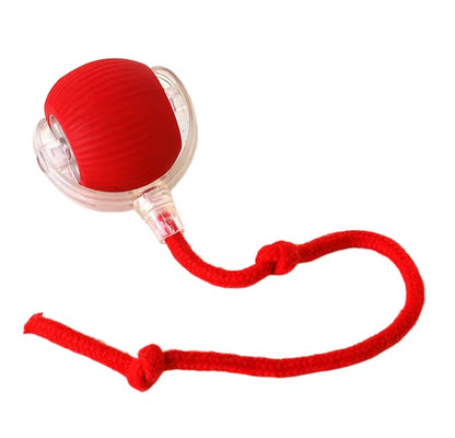 🐕Balle Intelligente & USB avec Traîne