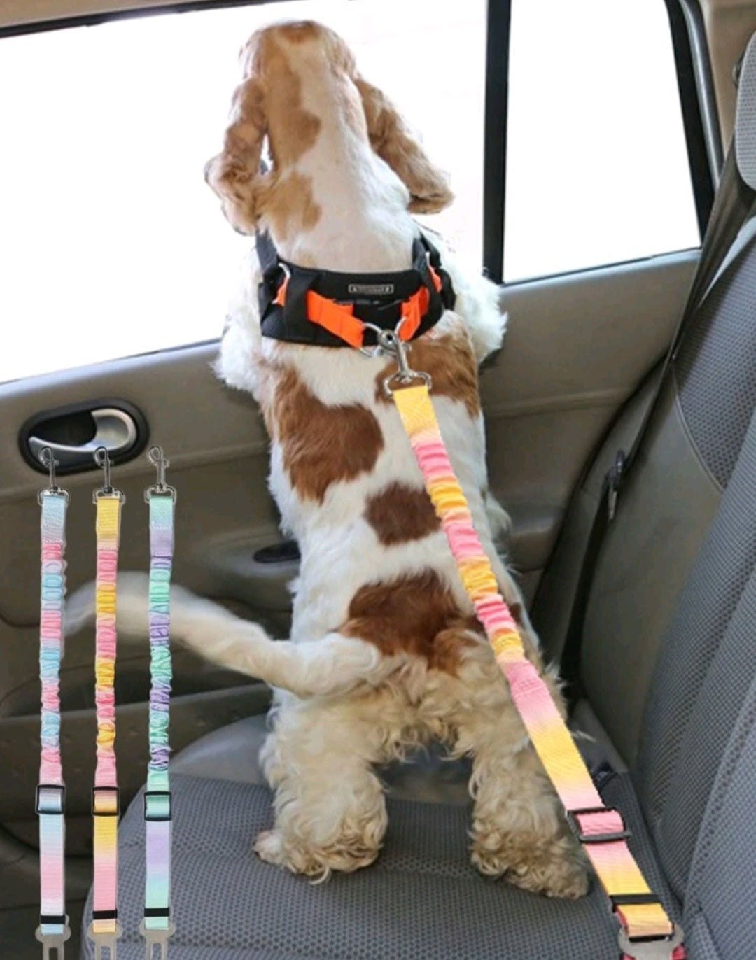 🚗 🚫 Ceinture de Sécurité Ajustable