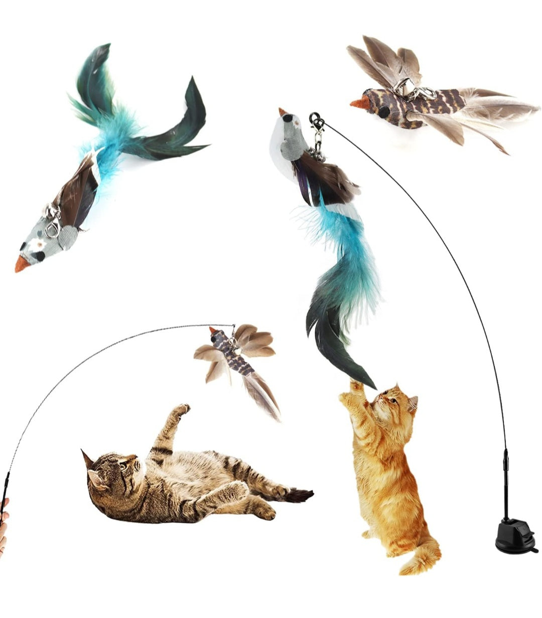 🧲 Jouet à ventouse + Oiseaux Siffleurs Offerts