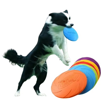 🥏 Frisbee Superfly Souple