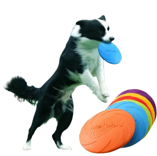 🥏 Frisbee Superfly Souple