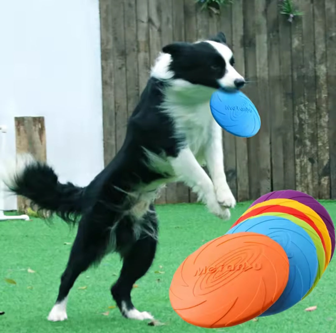 🥏 Frisbee Superfly Souple