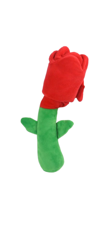 🌹Rose de fouille