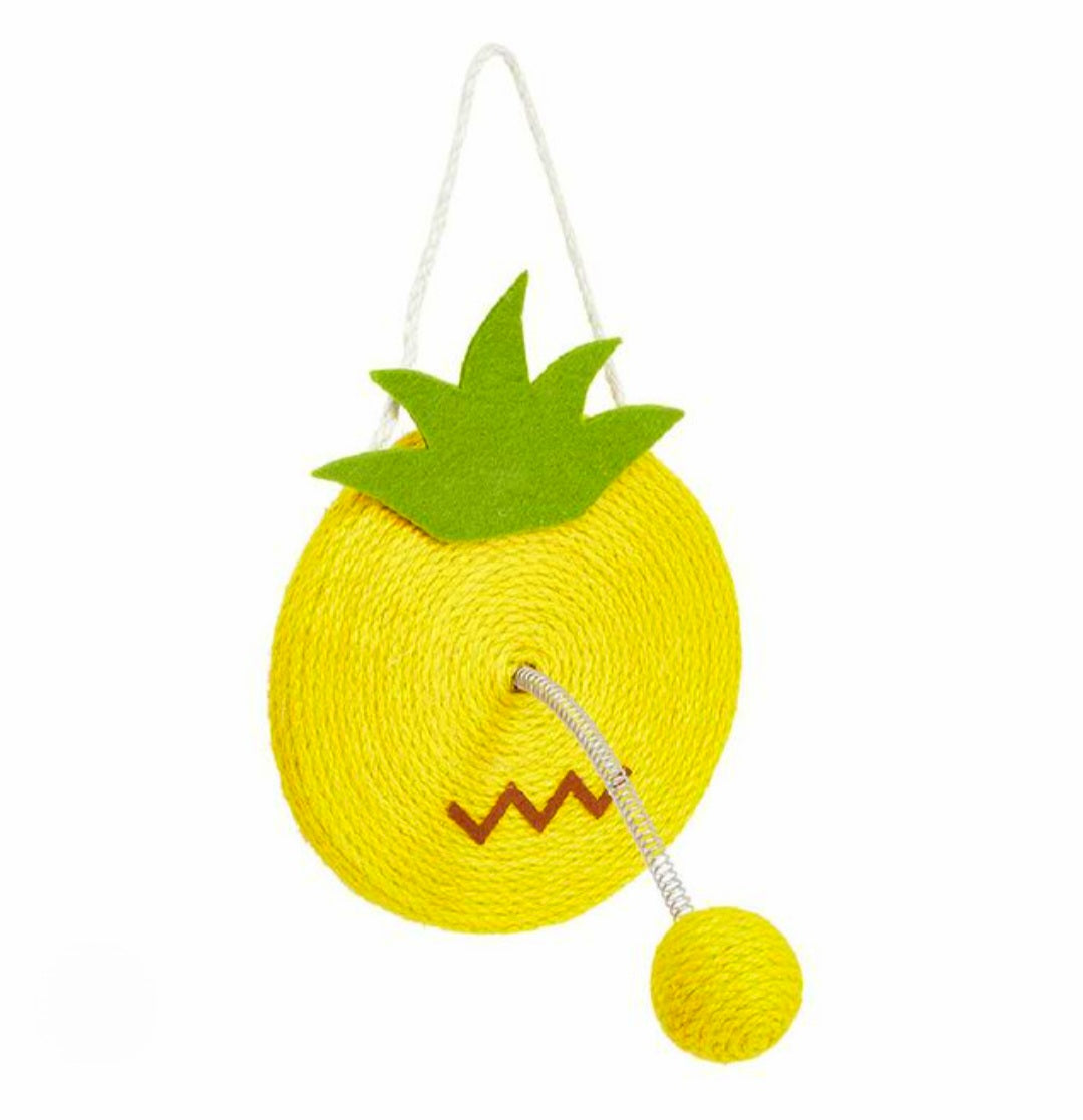 🍋 Griffoires en corde Mûr & sol