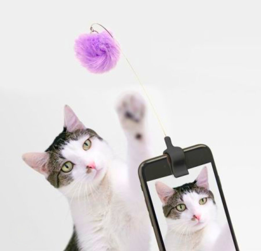📱 Mini Perche Pompon pour Photo 📸