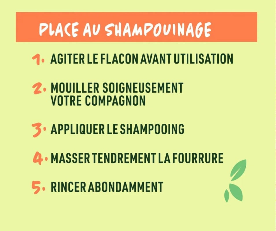 🧴 Shampoing Naturel - 1 sachet = 250 ml