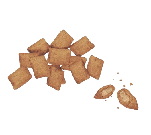 🐱 Friandises Fourrées au Saumon