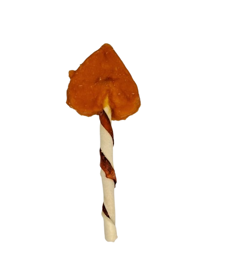 🍗 Sucette au Poulet