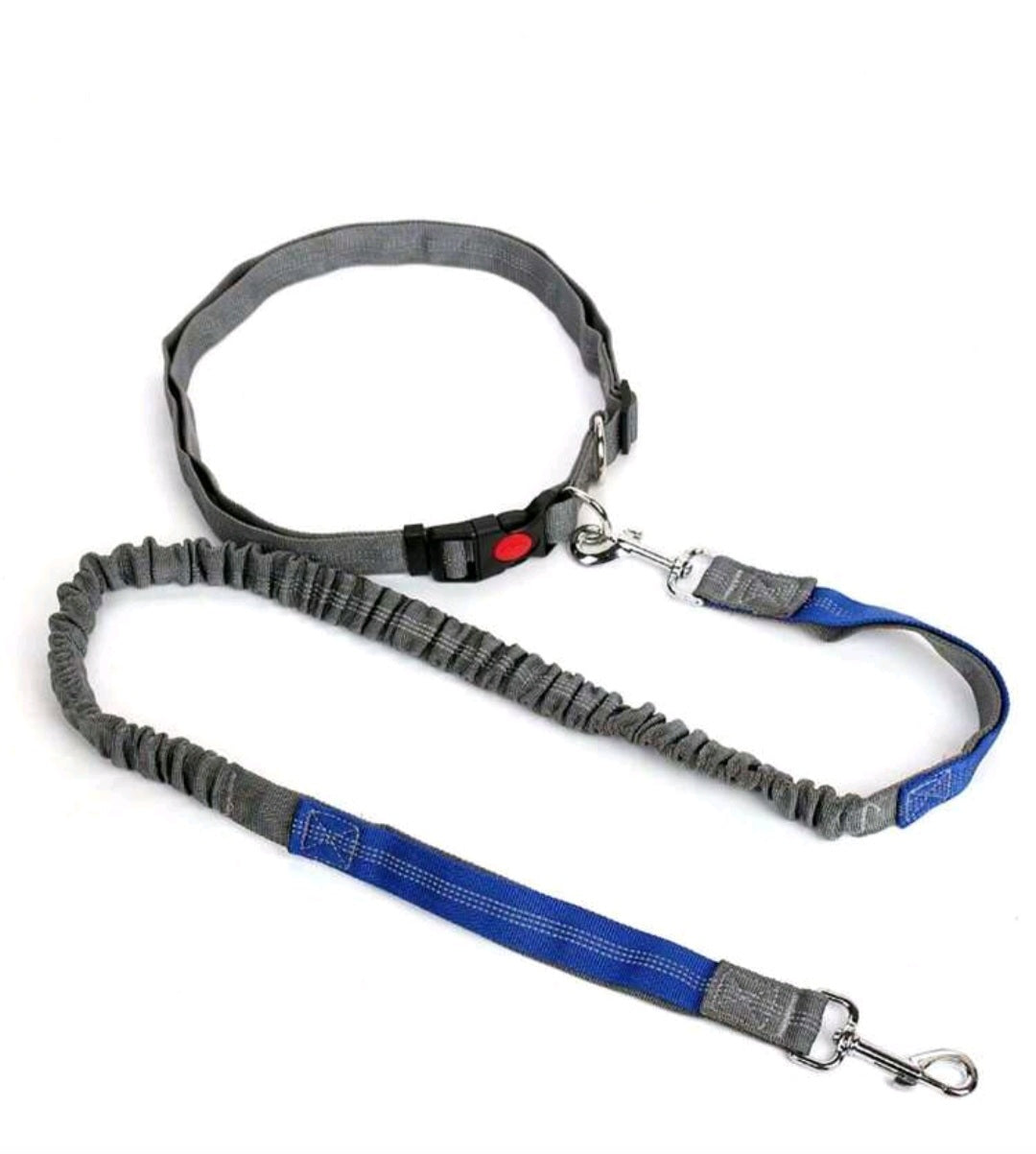 🏃 Ensemble Canicross : Laisse Anti-Traction Réfléchissante + harnais de taille