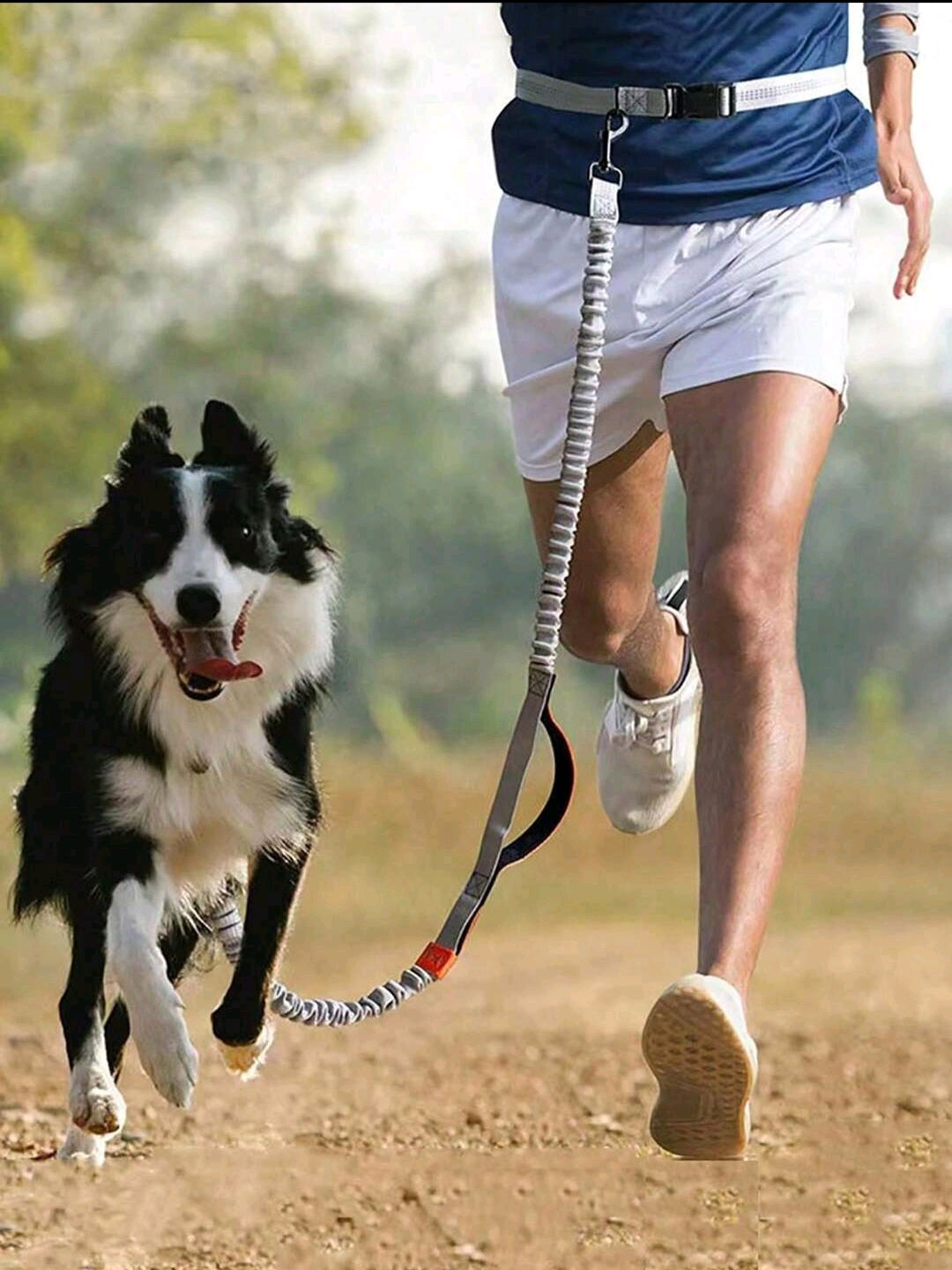 🏃 Ensemble Canicross : Laisse Anti-Traction Réfléchissante + harnais de taille
