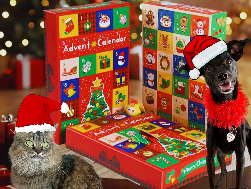 Calendrier de L'avent Chiens & Chats