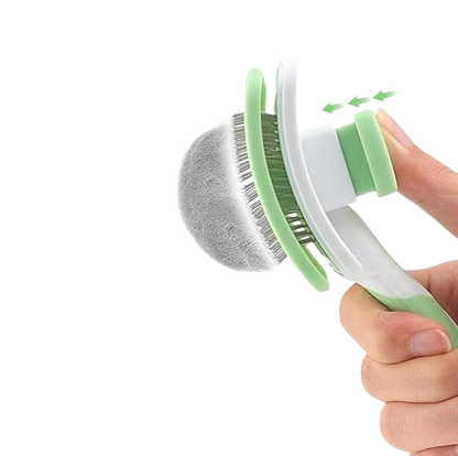 🐾 Brosse Anti poils + poussoir