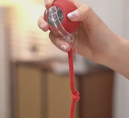 🐕Balle Intelligente & USB avec Traîne